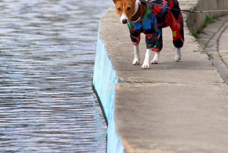 Весна в городе: одесситы вышли на прогулку (фоторепортаж)