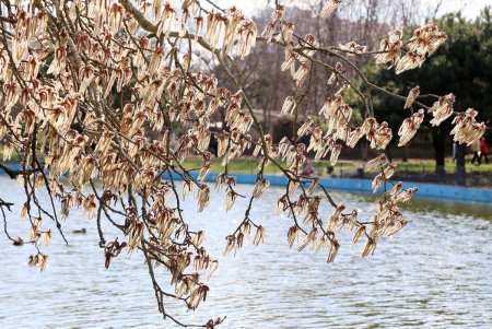 Весна в городе: одесситы вышли на прогулку (фоторепортаж)