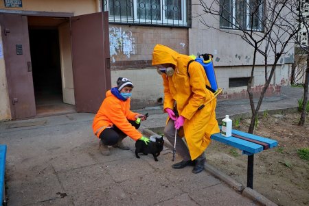 Коммунальные службы и предприятия Одессы проводят системную дезинфекцию (фото)