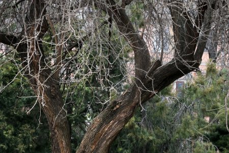 После введения в Одессе карантина шумные улицы города заметно опустели (фоторепортаж) 