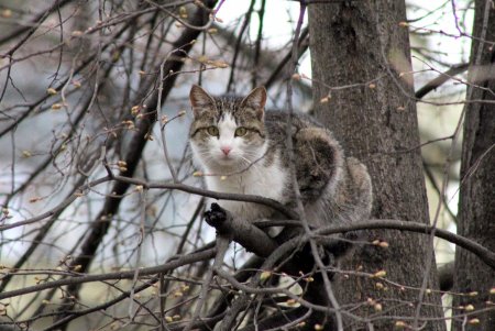 После введения в Одессе карантина шумные улицы города заметно опустели (фоторепортаж) 