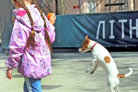 Карантин карантином, а прогулка по расписанию: как одесситы выгуливают своих питомцев