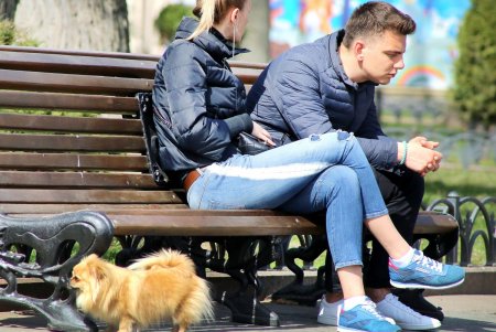 Карантин карантином, а прогулка по расписанию: как одесситы выгуливают своих питомцев