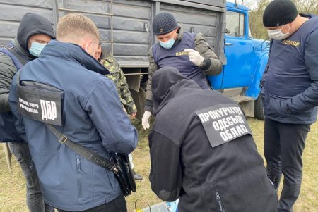 Одессита задержали во время получения взятки за неучтенный лес (фото)