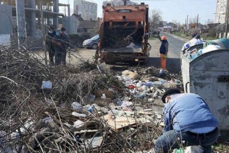 Коммунальщики ликвидировали стихийные свалки в Малиновском и Киевском районах (фото)