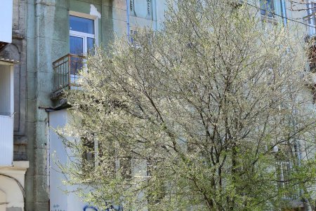 На улице Гимназической отремонтировали тротуар (фоторепортаж)