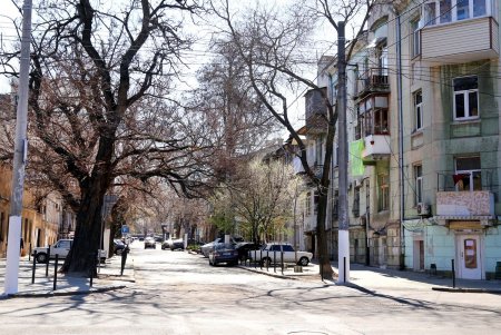 На улице Гимназической отремонтировали тротуар (фоторепортаж)