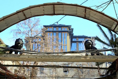На улице Гимназической отремонтировали тротуар (фоторепортаж)