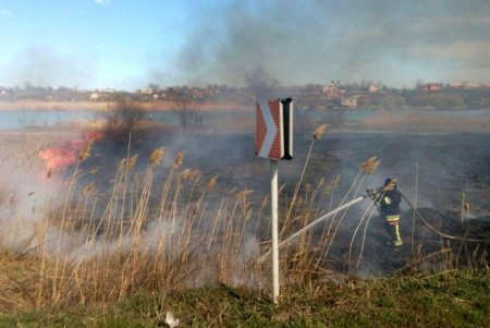 Пожар в дельте Днестра уже уничтожил 10 га уникальной экосистемы национального природного парка (фото, обновлено)