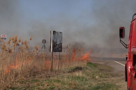 Пожар в дельте Днестра уже уничтожил 10 га уникальной экосистемы национального природного парка (фото, обновлено)