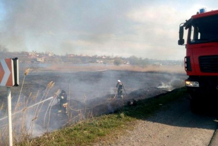 Пожар в дельте Днестра уже уничтожил 10 га уникальной экосистемы национального природного парка (фото, обновлено)