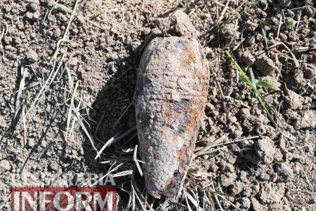 На окраине Килии местные жители обнаружили два «эха войны» (фото)