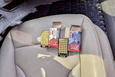 Служебный пес помог одесским пограничникам обнаружить сотню патронов в двух авто (фото)