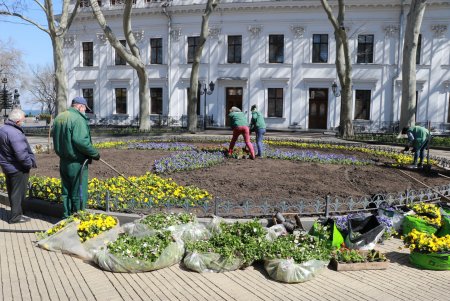 Озеленители украшают и комплексно благоустраивают город (фото, видеокомментарий )