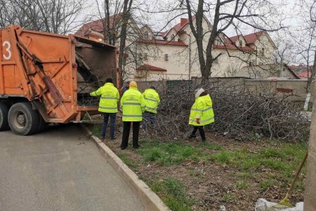 Озеленители украшают и комплексно благоустраивают город (фото, видеокомментарий )