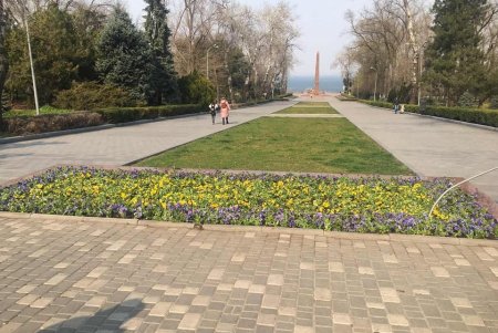 Озеленители украшают и комплексно благоустраивают город (фото, видеокомментарий )