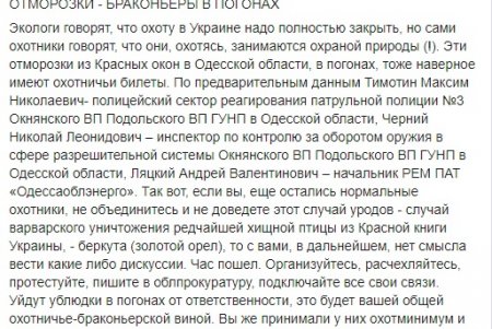 В Одесской области полицейские убили краснокнижного орла: в ведомстве начали служебное расследование