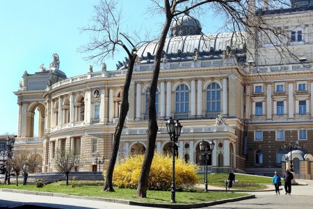В Одессе цветут сакуры и магнолии: любуйтесь ими на наших фото не выходя из дома (фоторепортаж)