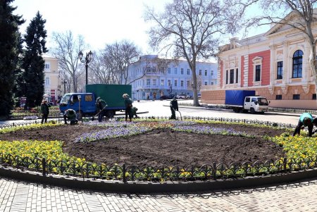 В Одессе цветут сакуры и магнолии: любуйтесь ими на наших фото не выходя из дома (фоторепортаж)