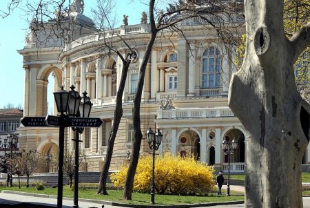 В Одессе цветут сакуры и магнолии: любуйтесь ими на наших фото не выходя из дома (фоторепортаж)
