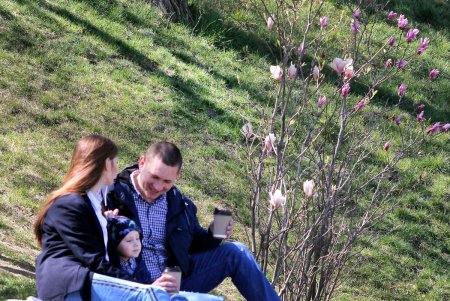 В Одессе цветут сакуры и магнолии: любуйтесь ими на наших фото не выходя из дома (фоторепортаж)
