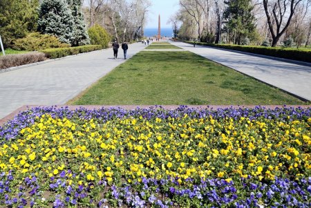 Одесситы массово гуляют в парке Шевченко и на Ланжероне, несмотря на карантин (фоторепортаж)