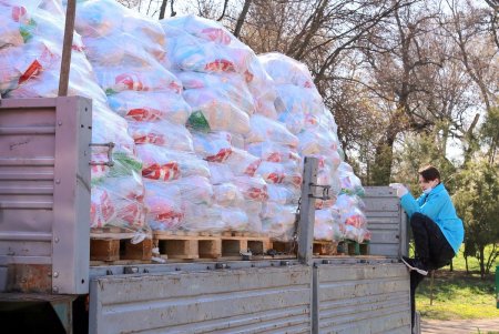 В сквере Гамова волонтеры и соцработники собирают продуктовые наборы для нуждающихся горожан (фоторепортаж)