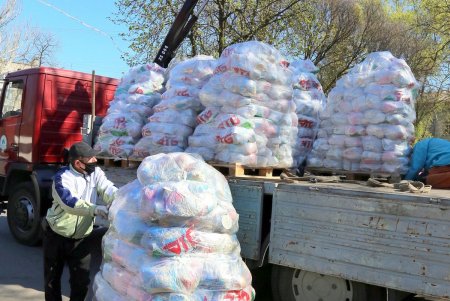 В сквере Гамова волонтеры и соцработники собирают продуктовые наборы для нуждающихся горожан (фоторепортаж)