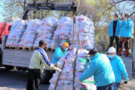 В сквере Гамова волонтеры и соцработники собирают продуктовые наборы для нуждающихся горожан (фоторепортаж)