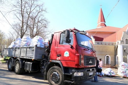 В сквере Гамова волонтеры и соцработники собирают продуктовые наборы для нуждающихся горожан (фоторепортаж)