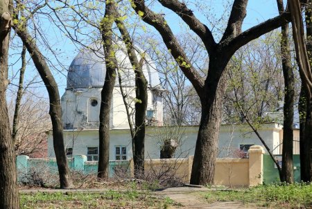 Сказочная поляна с деревянными скульптурами – еще одна изюминка парка Шевченко (фоторепортаж)