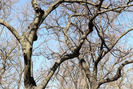 Сказочная поляна с деревянными скульптурами – еще одна изюминка парка Шевченко (фоторепортаж)