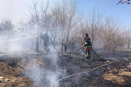 В частном доме в Белгород-Днестровском районе горели пристройки и тростник (фото) 