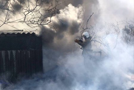 В частном доме в Белгород-Днестровском районе горели пристройки и тростник (фото) 