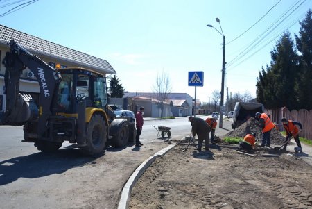 На Чубаевке внедряют новый проект уборки мусора, но стихийные свалки пока не исчезли (фото)