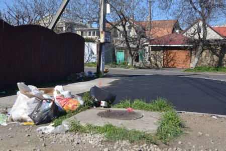 На Чубаевке внедряют новый проект уборки мусора, но стихийные свалки пока не исчезли (фото)