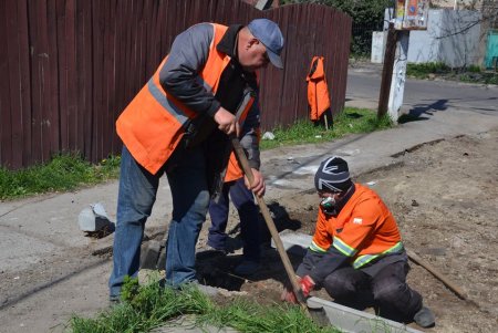 На Чубаевке внедряют новый проект уборки мусора, но стихийные свалки пока не исчезли (фото)