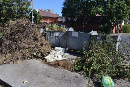 На Чубаевке внедряют новый проект уборки мусора, но стихийные свалки пока не исчезли (фото)