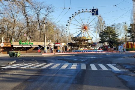 На Лидерсовском бульваре появилась свежая дорожная разметка (фото)