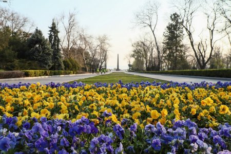 Мэр Одессы почтил память освободителей города от нацистов (фото)