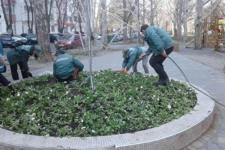 Озеленители «Горзелентреста» не прекращают приводить в порядок парки и скверы в условиях карантина