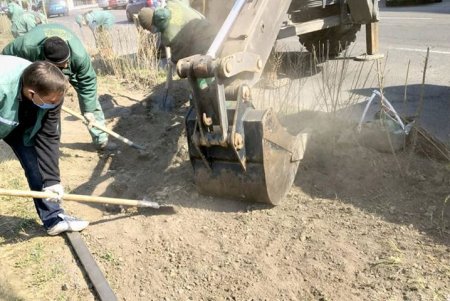 Озеленители «Горзелентреста» не прекращают приводить в порядок парки и скверы в условиях карантина