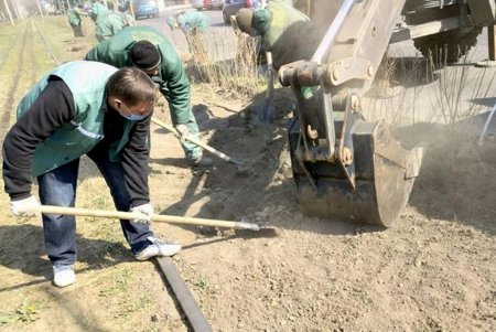 Коммунальщики регулярно проводят подрезку деревьев, ремонт и уборку: крупный мусор горожан просят вывозить на спецплощадки (фото)
