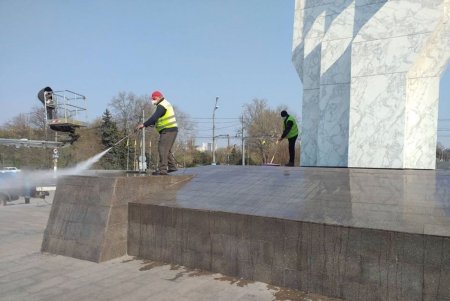 Коммунальщики регулярно проводят подрезку деревьев, ремонт и уборку: крупный мусор горожан просят вывозить на спецплощадки (фото)