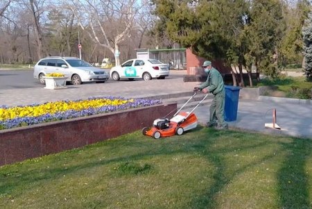 Коммунальщики регулярно проводят подрезку деревьев, ремонт и уборку: крупный мусор горожан просят вывозить на спецплощадки (фото)