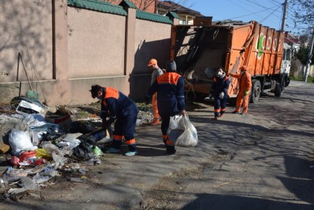 Коммунальщики регулярно проводят подрезку деревьев, ремонт и уборку: крупный мусор горожан просят вывозить на спецплощадки (фото)