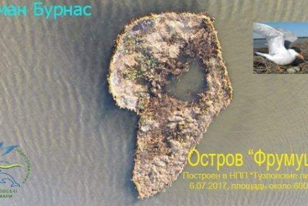 В «Тузловской Амазонии» появился еще один рукотворный экоостров для птиц (фото)