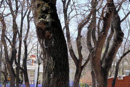 В масках – лишь единицы: одесситы гуляют в центре города, игнорируя рекомендации оставаться дома (фоторепортаж)