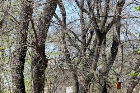В масках – лишь единицы: одесситы гуляют в центре города, игнорируя рекомендации оставаться дома (фоторепортаж)