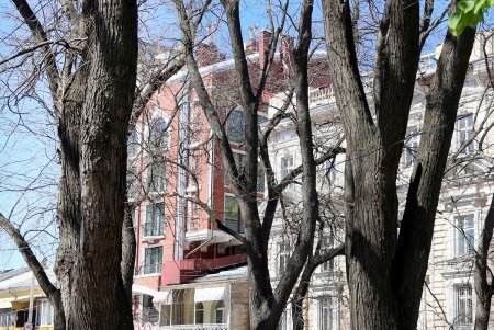 В масках – лишь единицы: одесситы гуляют в центре города, игнорируя рекомендации оставаться дома (фоторепортаж)